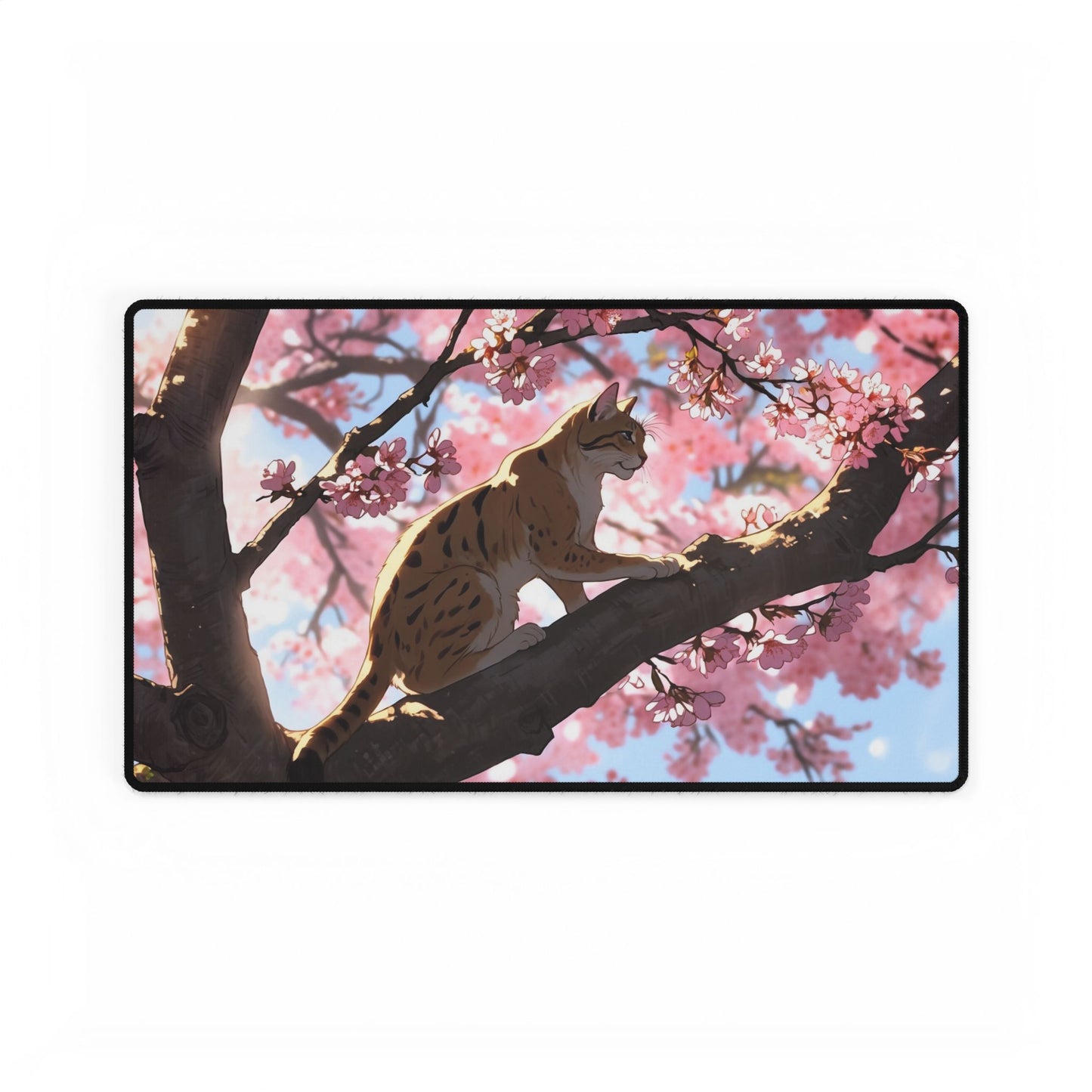 Cat on Sakura